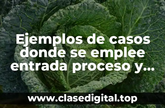 Ejemplos de casos donde se emplee entrada proceso y salida