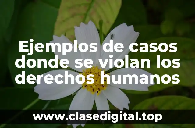 Ejemplos de casos donde se violan los derechos humanos