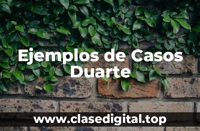 Ejemplos de Casos Duarte