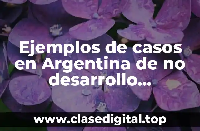 Ejemplos de casos en Argentina de no desarrollo sustentable y Significado