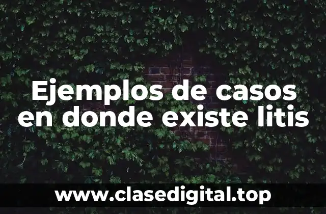 Ejemplos de casos en donde existe litis