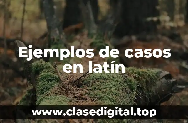 Ejemplos de casos en latín