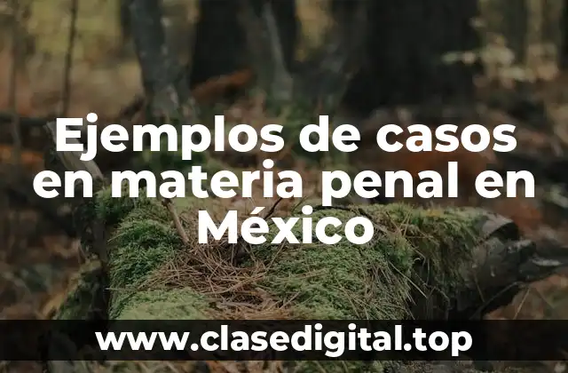Ejemplos de casos en materia penal en México