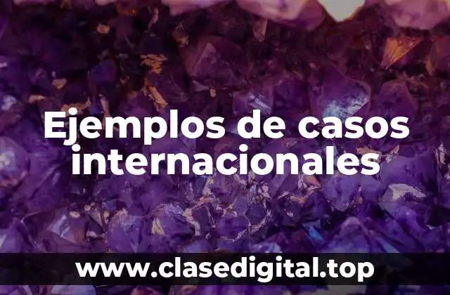 Ejemplos de casos internacionales