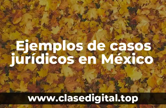 Ejemplos de casos jurídicos en México