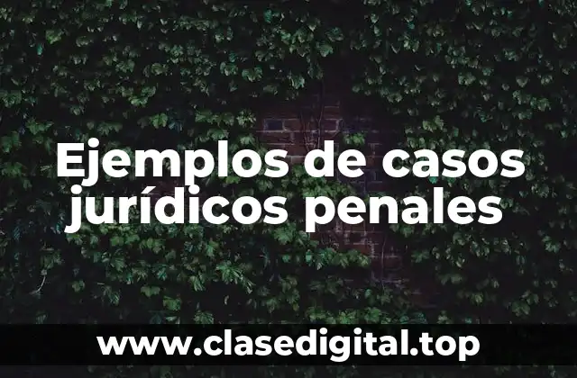 Ejemplos de casos jurídicos penales