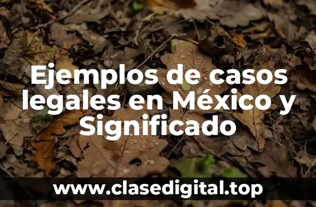 Ejemplos de casos legales en México y Significado