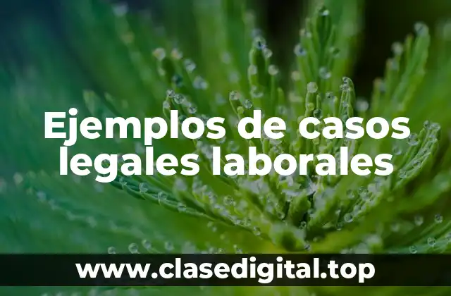 Ejemplos de casos legales laborales