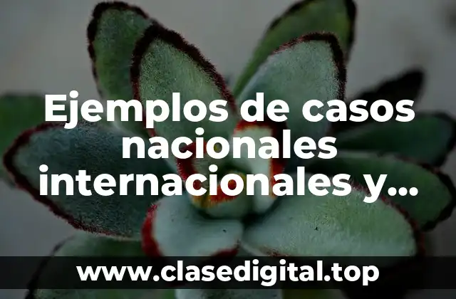 Ejemplos de casos nacionales internacionales y locales estatales