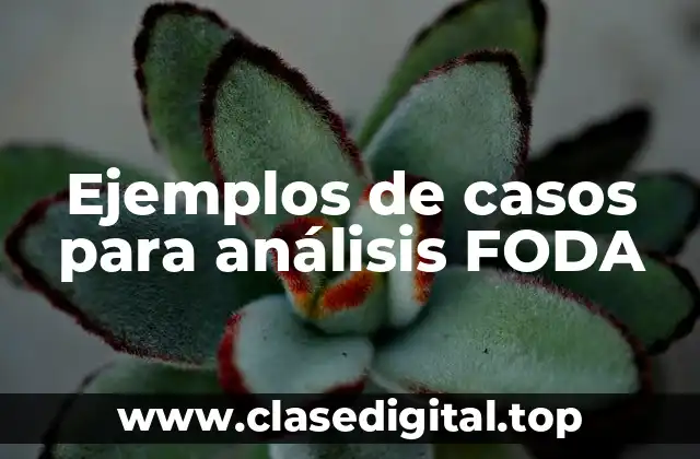 Ejemplos de casos para análisis FODA