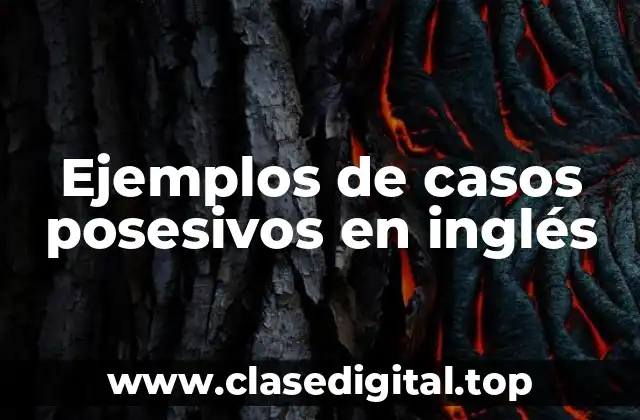 Ejemplos de casos posesivos en inglés