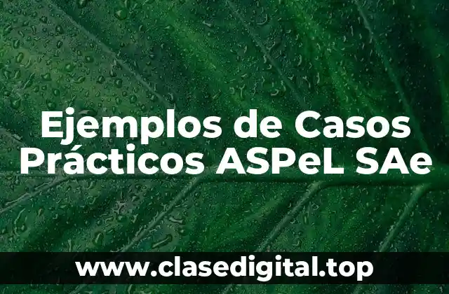 Ejemplos de Casos Prácticos ASPeL SAe
