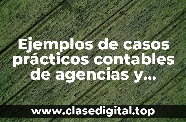 Ejemplos de casos prácticos contables de agencias y sucursales y Significado