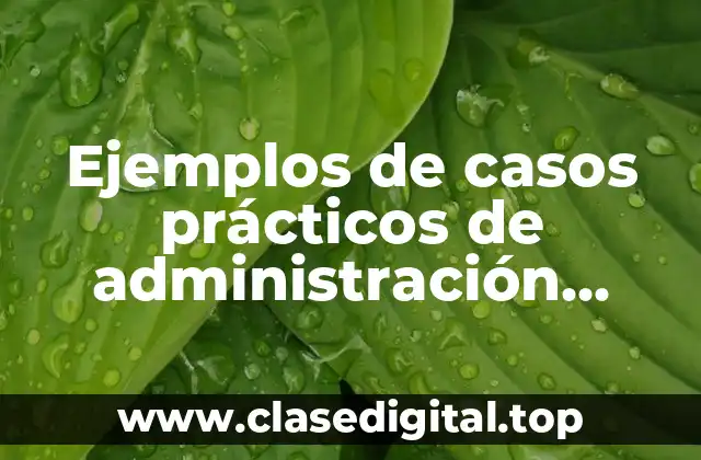 Ejemplos de casos prácticos de administración México