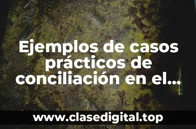 Ejemplos de casos prácticos de conciliación en el procedimiento ordinario y Significado