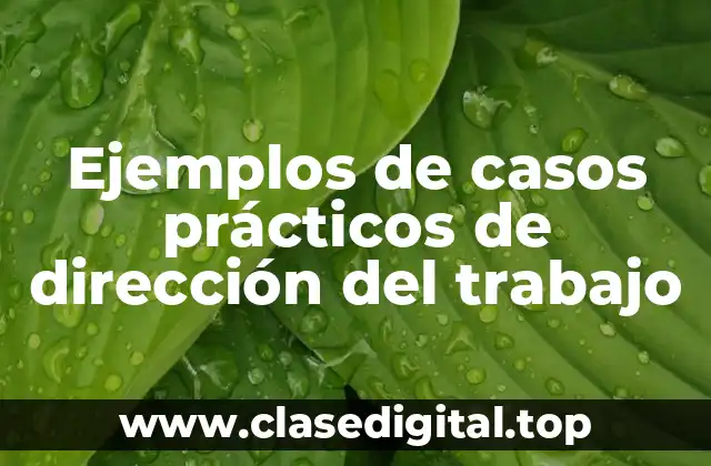 Ejemplos de casos prácticos de dirección del trabajo