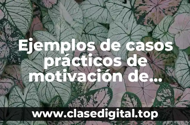 Ejemplos de casos prácticos de motivación de McClelland y Significado