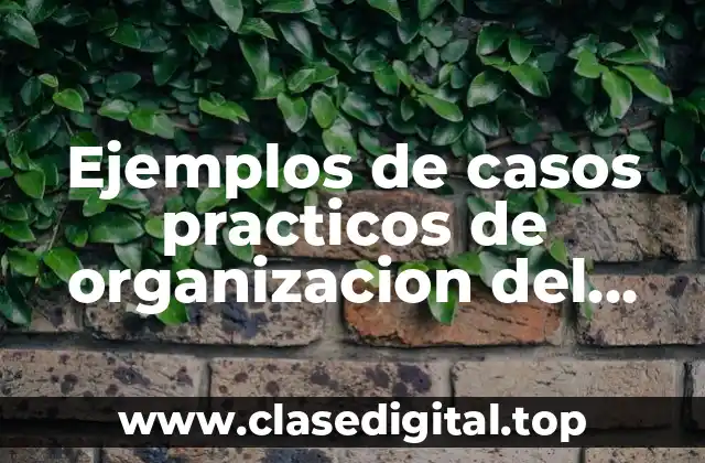 Ejemplos de casos practicos de organizacion del trabajo