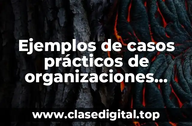 Ejemplos de casos prácticos de organizaciones privadas