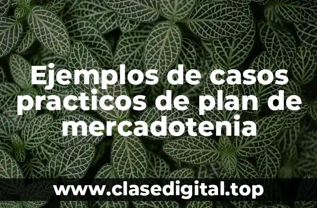 Ejemplos de casos practicos de plan de mercadotenia