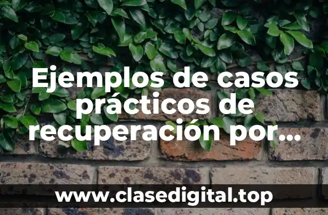 Ejemplos de casos prácticos de recuperación por seguros, fianzas, etc.