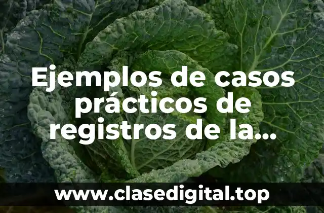 Ejemplos de casos prácticos de registros de la depreciación