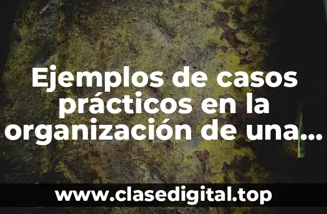 Ejemplos de casos prácticos en la organización de una empresa y Significado