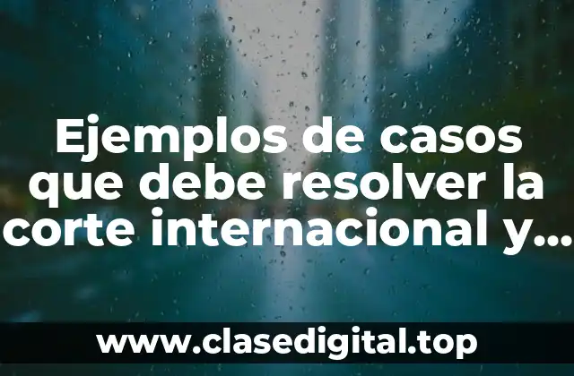 Ejemplos de casos que debe resolver la corte internacional y Significado