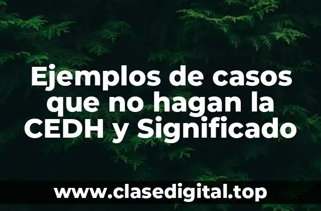 Ejemplos de casos que no hagan la CEDH y Significado