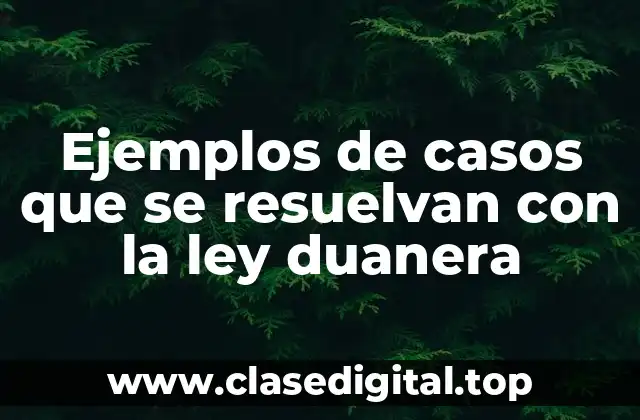 Ejemplos de casos que se resuelvan con la ley duanera