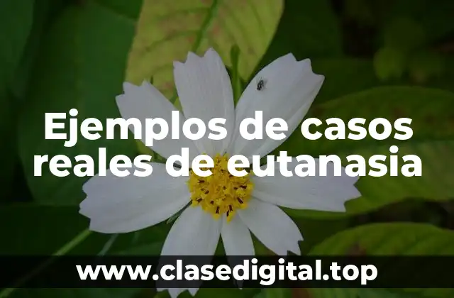 Ejemplos de casos reales de eutanasia