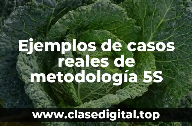 Ejemplos de casos reales de metodología 5S