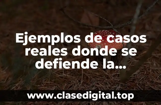 Ejemplos de casos reales donde se defiende la prodigalidad