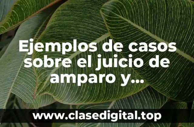 Ejemplos de casos sobre el juicio de amparo