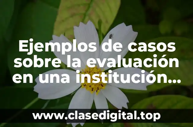 Ejemplos de casos sobre la evaluación en una institución educativa