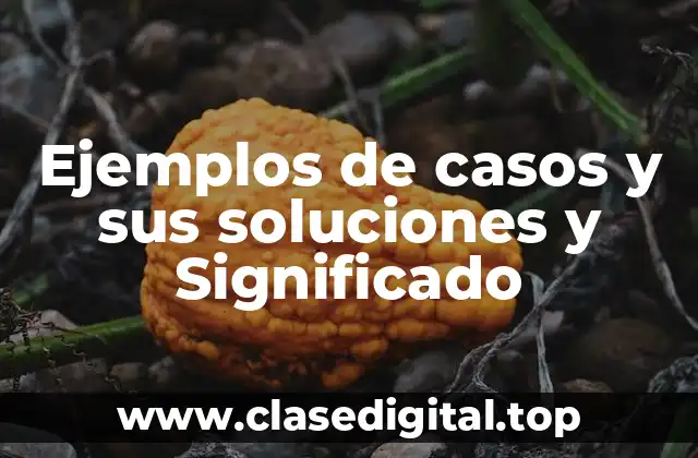 Ejemplos de casos y sus soluciones y Significado