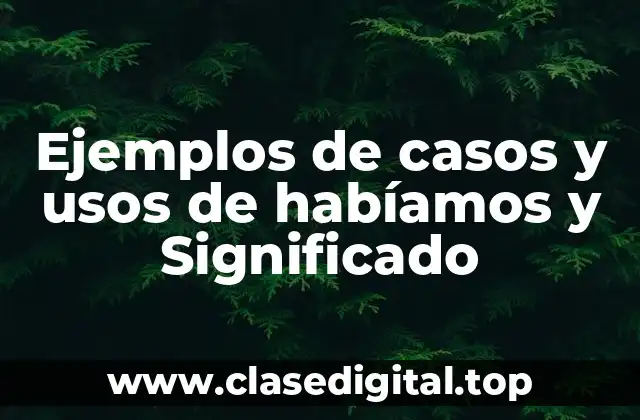 Ejemplos de casos y usos de habíamos y Significado