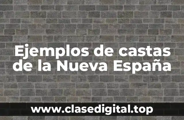Ejemplos de castas de la Nueva España