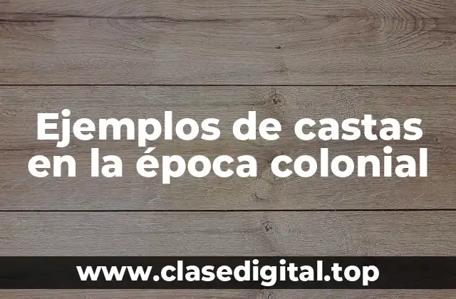 Ejemplos de castas en la época colonial