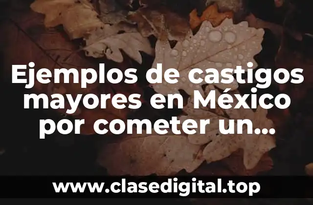 Ejemplos de castigos mayores en México por cometer un delito y Significado