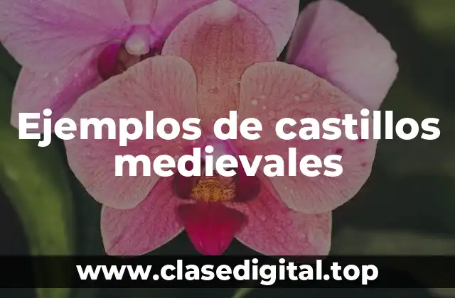 Ejemplos de castillos medievales