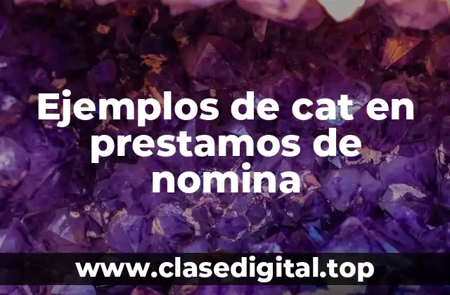 Ejemplos de cat en prestamos de nomina