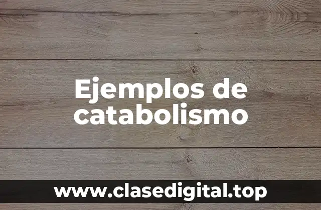 Ejemplos de catabolismo