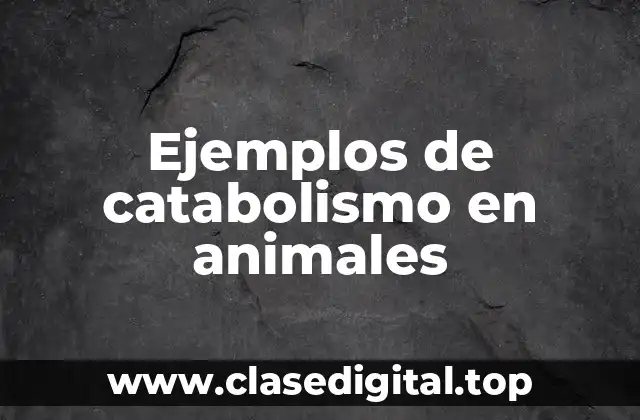 Ejemplos de catabolismo en animales