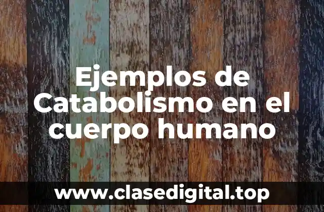 Ejemplos de Catabolismo en el cuerpo humano