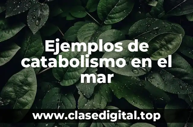 Ejemplos de catabolismo en el mar