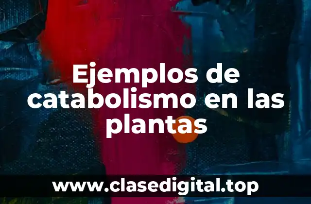 Ejemplos de catabolismo en las plantas