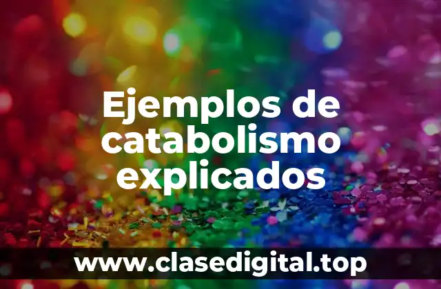 Ejemplos de catabolismo explicados