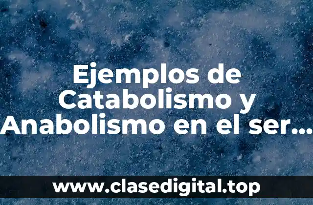 Ejemplos de Catabolismo y Anabolismo en el ser humano