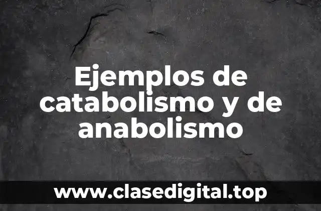 Ejemplos de catabolismo y de anabolismo